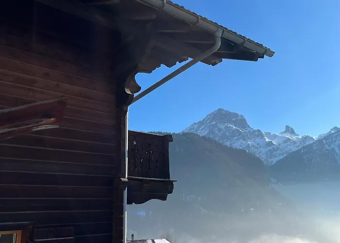 Les Marmouzets Appartement Gryon