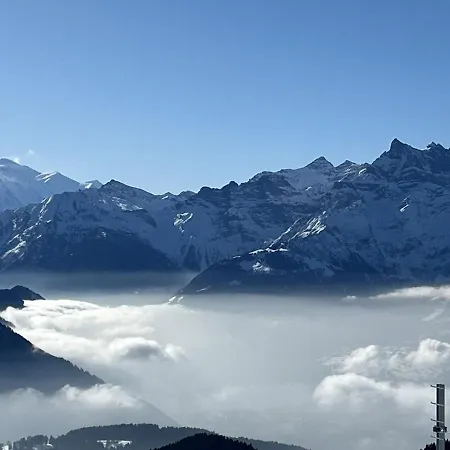 Les Marmouzets